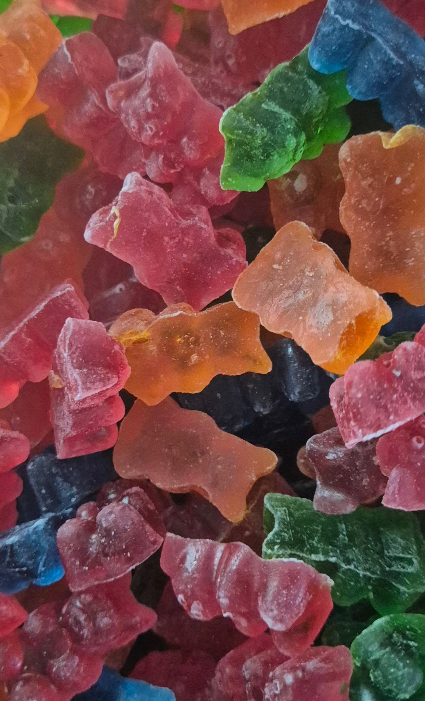 Ourson Transparent sans sucre