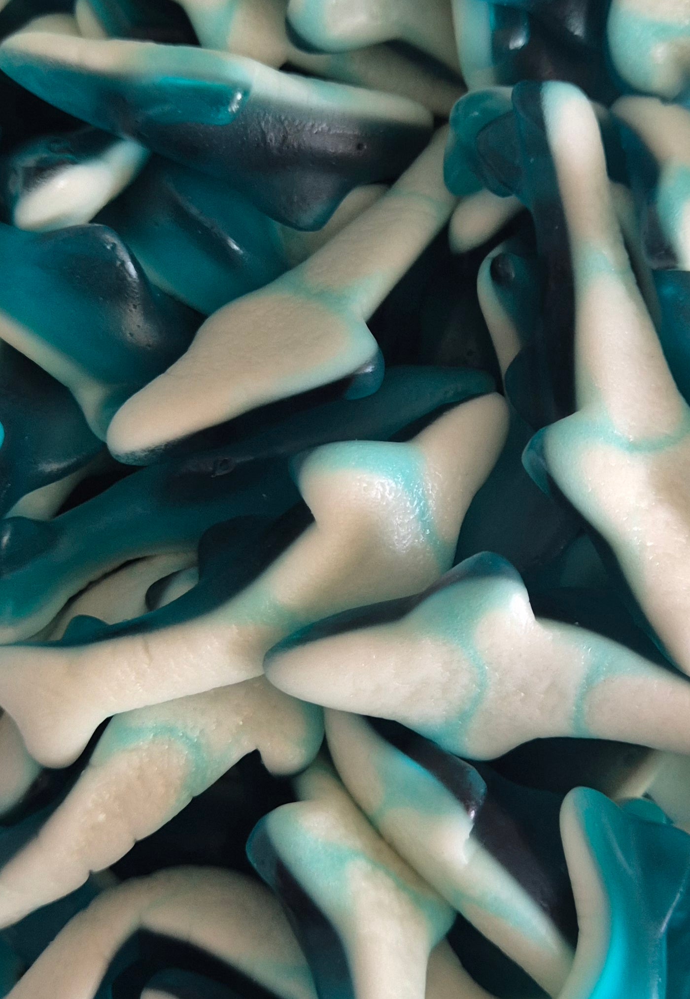 Requin bleu