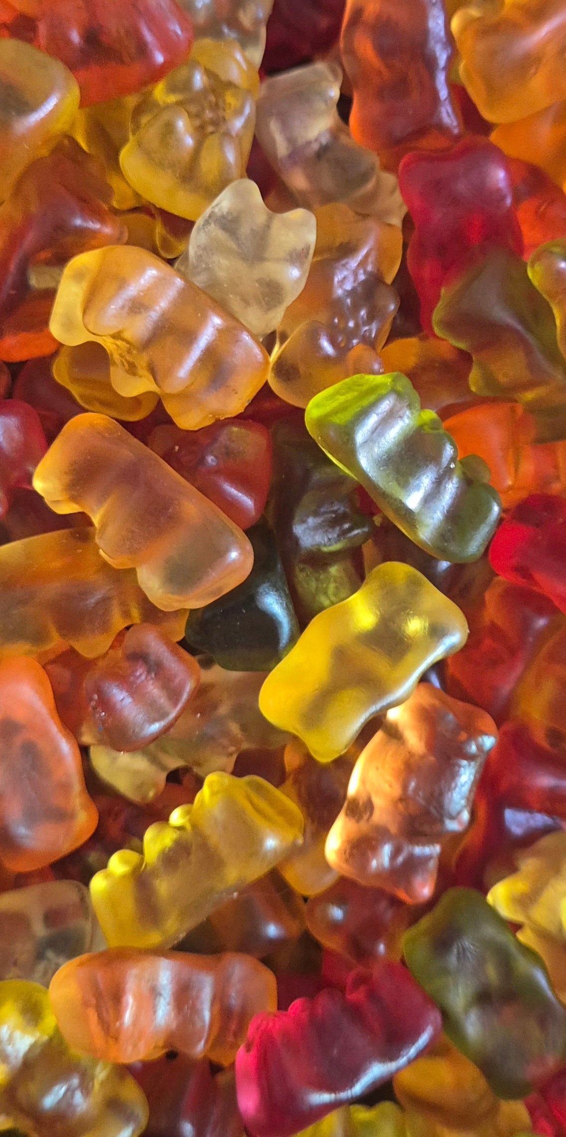 Ourson lisse Haribo